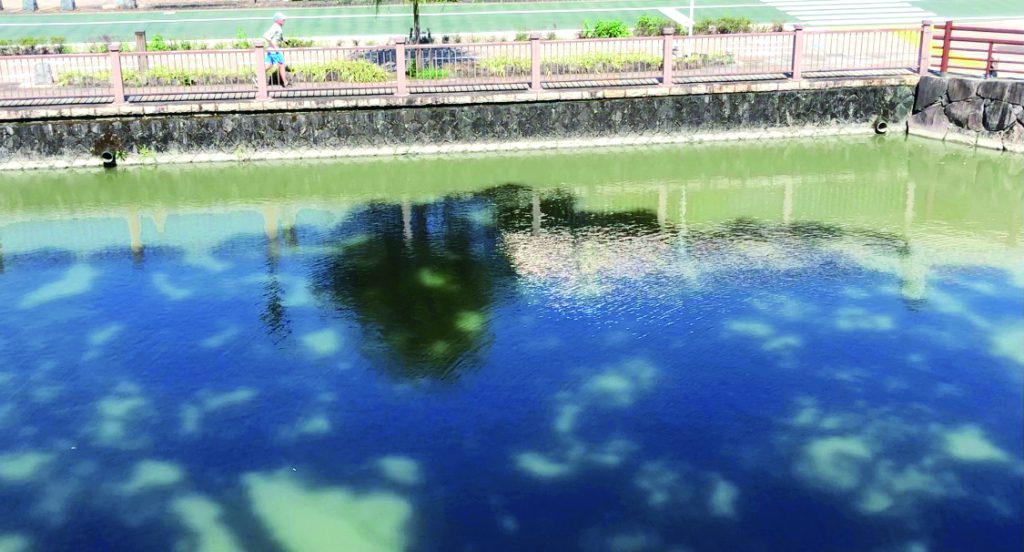 第1回「Park&RUN」<br>4月10日（土）初開催 <br>